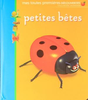 Couverture de Petites bêtes